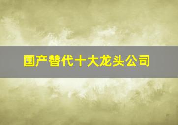 国产替代十大龙头公司