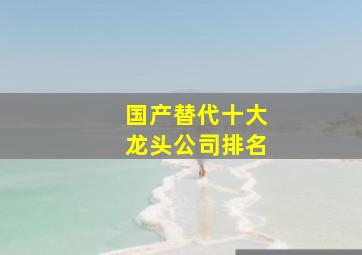 国产替代十大龙头公司排名