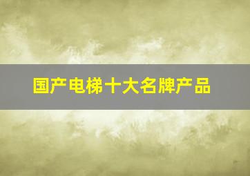 国产电梯十大名牌产品