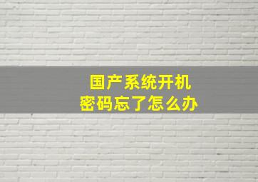 国产系统开机密码忘了怎么办