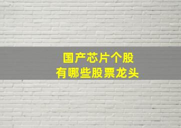 国产芯片个股有哪些股票龙头