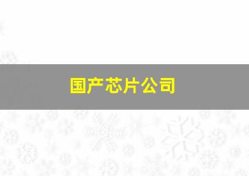 国产芯片公司