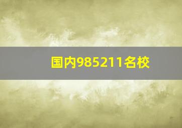 国内985211名校