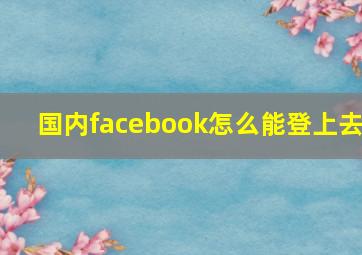 国内facebook怎么能登上去