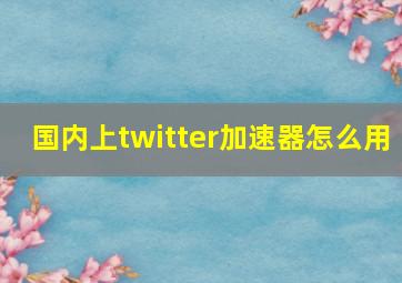 国内上twitter加速器怎么用