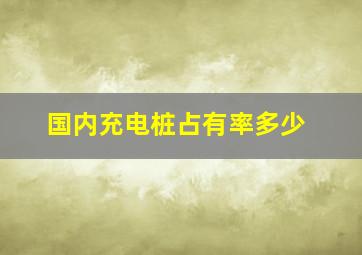 国内充电桩占有率多少