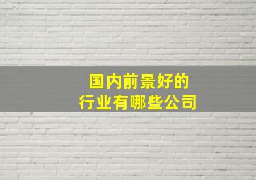 国内前景好的行业有哪些公司