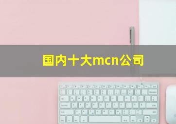 国内十大mcn公司