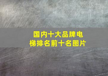 国内十大品牌电梯排名前十名图片