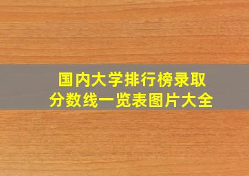 国内大学排行榜录取分数线一览表图片大全