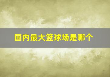 国内最大篮球场是哪个