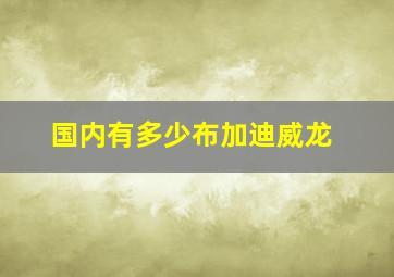 国内有多少布加迪威龙