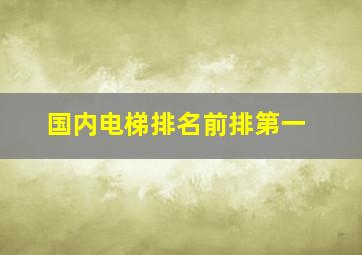 国内电梯排名前排第一