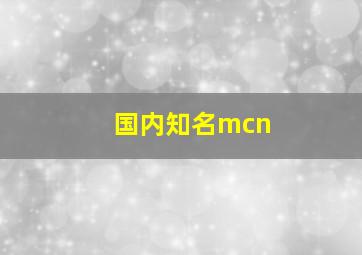 国内知名mcn