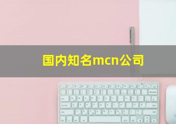 国内知名mcn公司