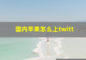 国内苹果怎么上twitt