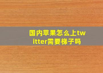 国内苹果怎么上twitter需要梯子吗