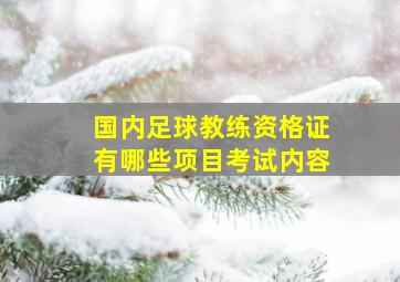 国内足球教练资格证有哪些项目考试内容