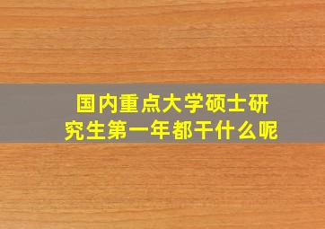 国内重点大学硕士研究生第一年都干什么呢