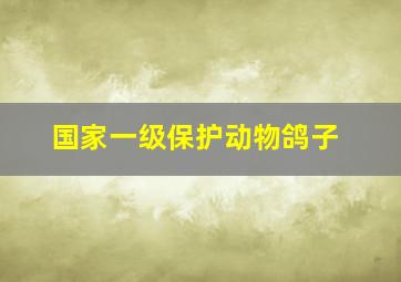 国家一级保护动物鸽子