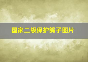 国家二级保护鸽子图片