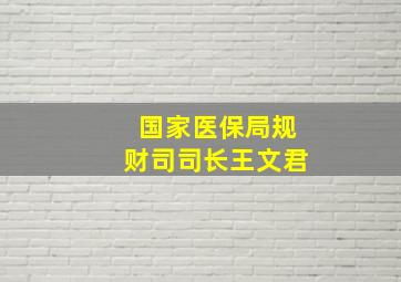 国家医保局规财司司长王文君