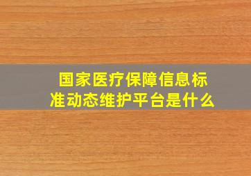 国家医疗保障信息标准动态维护平台是什么