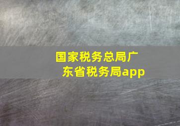 国家税务总局广东省税务局app