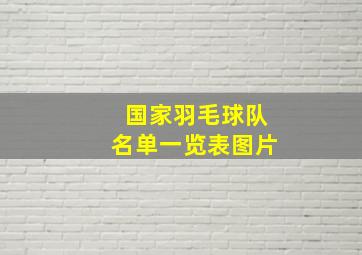 国家羽毛球队名单一览表图片