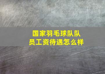 国家羽毛球队队员工资待遇怎么样