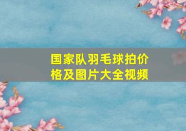 国家队羽毛球拍价格及图片大全视频