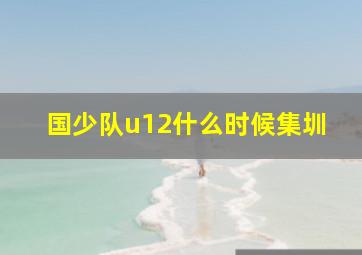 国少队u12什么时候集圳