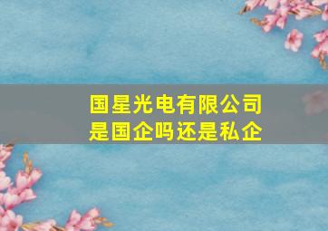 国星光电有限公司是国企吗还是私企