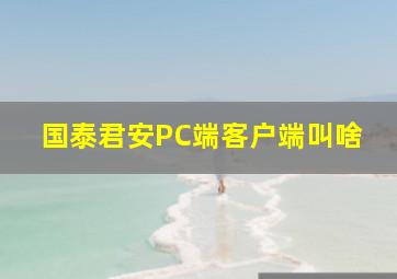 国泰君安PC端客户端叫啥