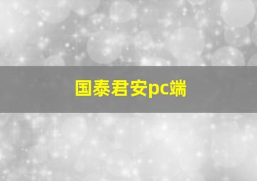 国泰君安pc端