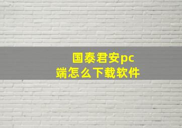 国泰君安pc端怎么下载软件