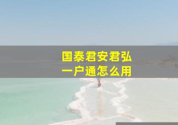 国泰君安君弘一户通怎么用