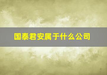 国泰君安属于什么公司