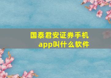 国泰君安证券手机app叫什么软件