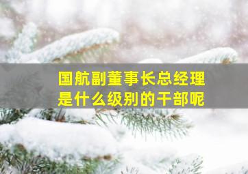 国航副董事长总经理是什么级别的干部呢