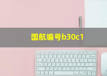 国航编号b30c1