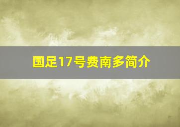 国足17号费南多简介