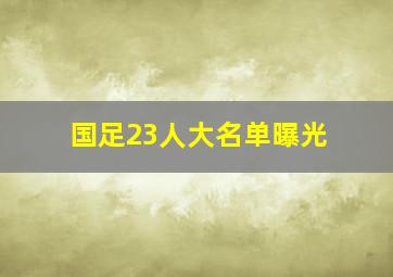 国足23人大名单曝光