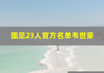 国足23人官方名单韦世豪