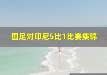 国足对印尼5比1比赛集锦