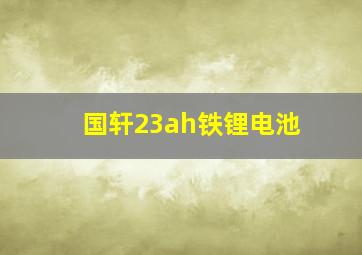 国轩23ah铁锂电池