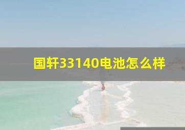 国轩33140电池怎么样