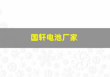 国轩电池厂家