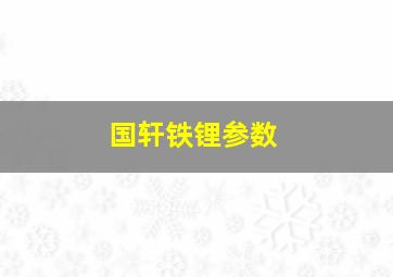 国轩铁锂参数