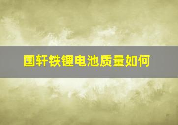 国轩铁锂电池质量如何